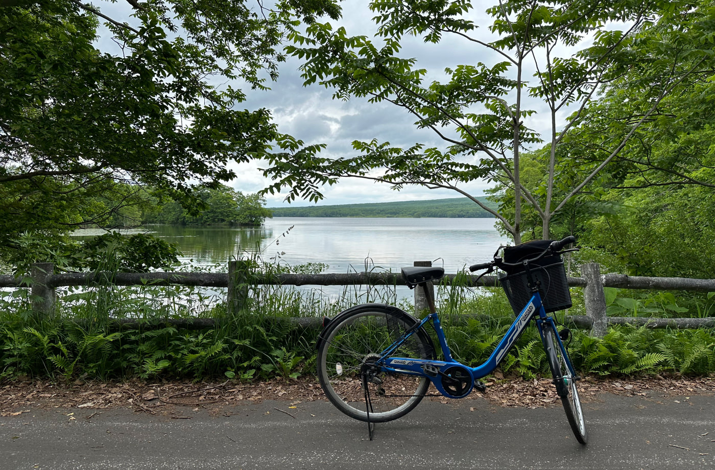 Blå cykel framför en sjö omgiven av buskar och tråd. Ett räcke gjort av trädstockar markerar cykelvägen.