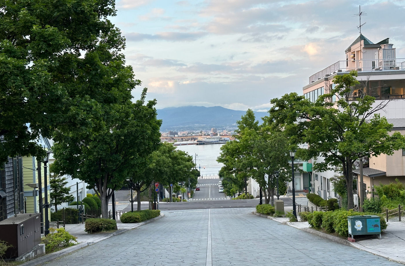 Sluttande stengata med träd på båda sidans trottoarer. I fjärran syns ett hamninlopp med en stor färja och ännu längre bort en lummig bergskedja.