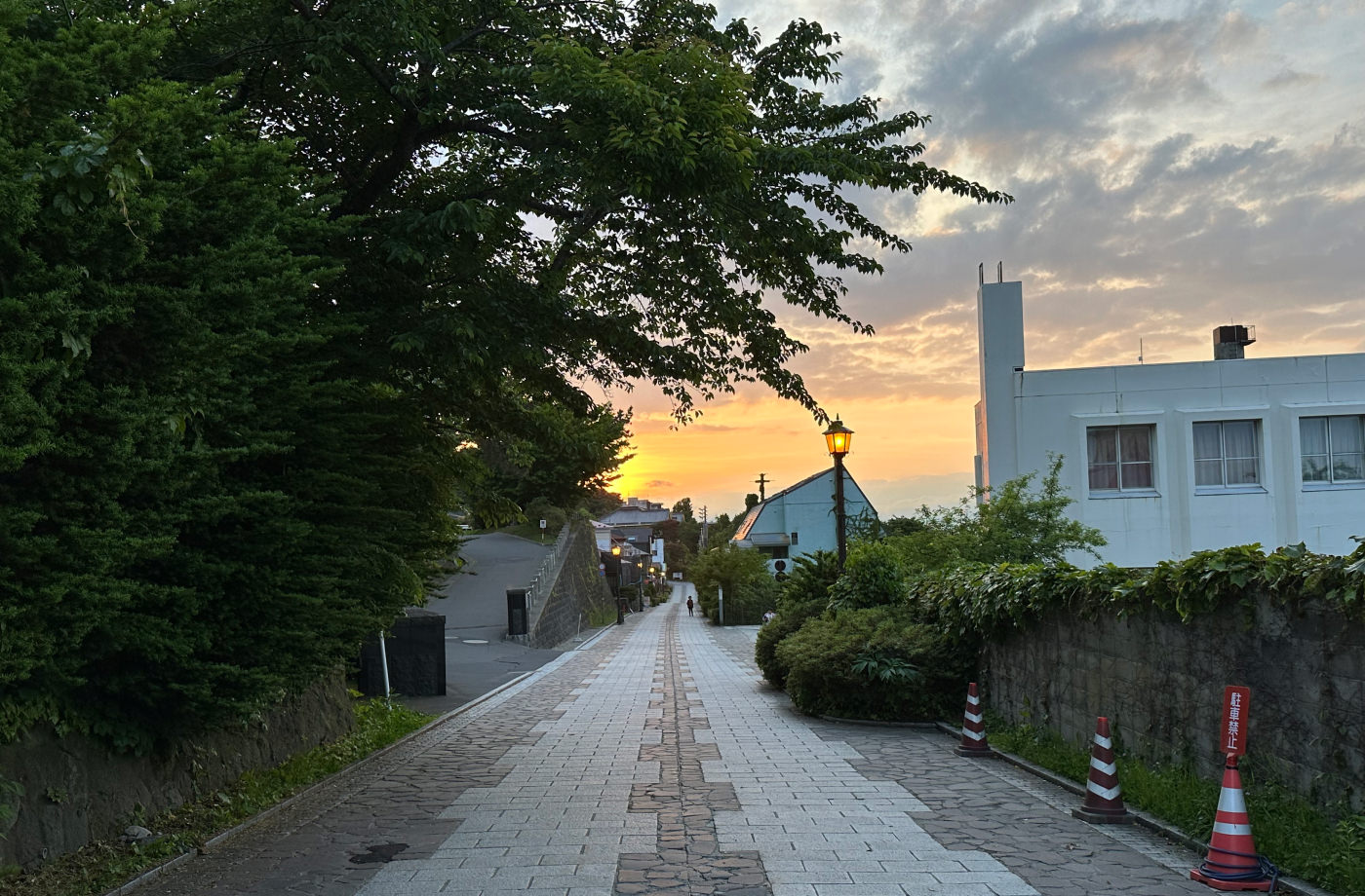 Lång och och fin stengata med ljust mönster. gatan är omgiven av enstaka hus och lummiga buskar. Det börjar bli kväll så gatulyktor är tända.